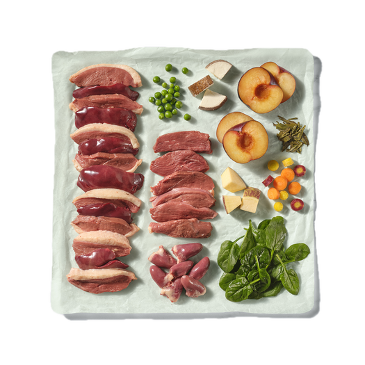 80% Duck Block image number 2